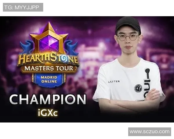 深入分析IG战队的防反策略与战术执行技巧